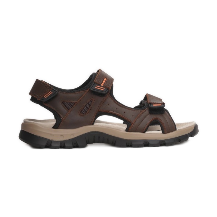 Vices 9SD9176L-SKORA-54-brown brązowe