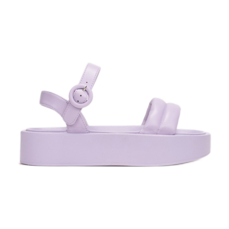 Vices 2257-66-violet