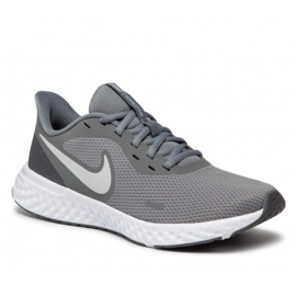 Buty Nike Revolution 5 M BQ3204-005 szare