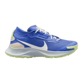 Buty Nike Pegasus Trail 3 GORE-TEX W DC8794-400 niebieskie