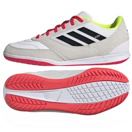 Buty adidas Top Sala Competition Ii JP5641 białe