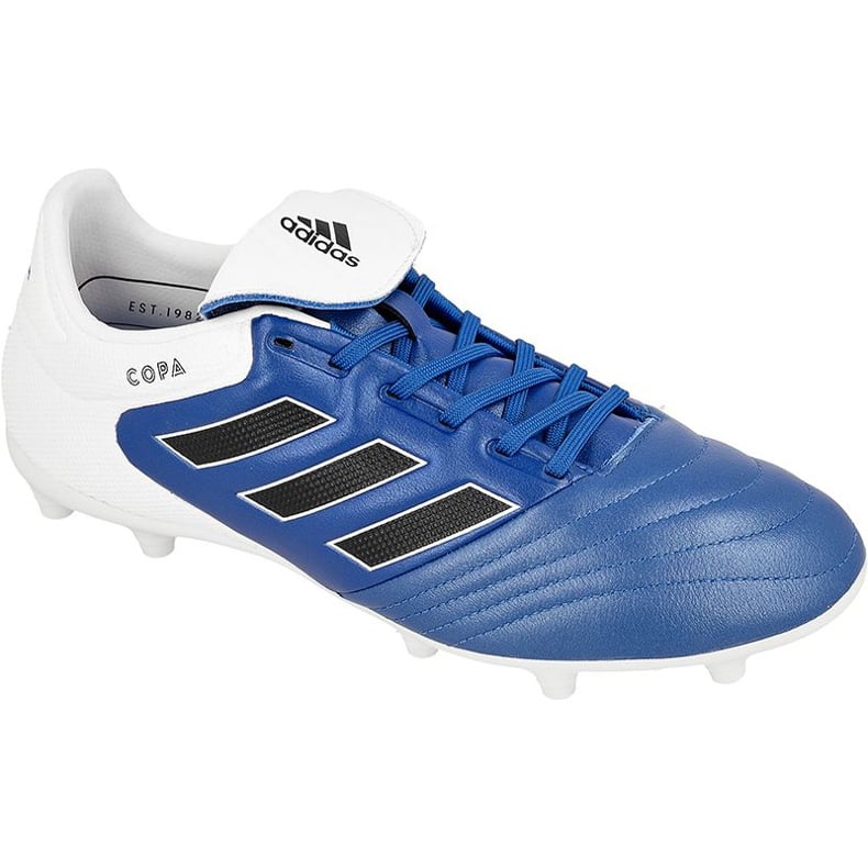 Buty piłkarskie adidas Copa 17.3 Fg M BA9717 niebieskie niebieskie