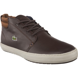 Lacoste Ampthill Terra 317 1 176 brązowe
