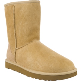 Ugg Classic Short Ii Sand żółte