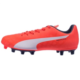 Buty piłkarskie Puma evoSPEED 5.4 Fg M 10328601 wielokolorowe czerwone