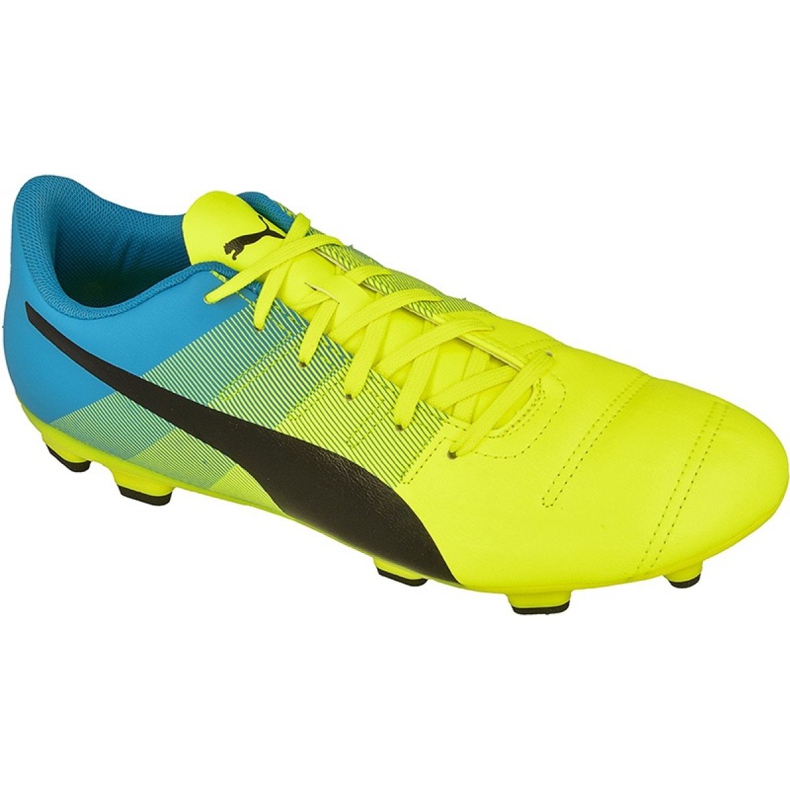 Buty piłkarskie Puma evoPOWER 4.3 Fg M 10353601 żółte żółte
