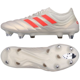 Buty piłkarskie adidas Copa 19.1 SG M F36075 srebrny