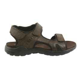 American Club American sandały sportowe skórzane CY11 brąz czarne brązowe