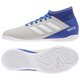 Buty halowe adidas Predator 19.3 In Jr CM8545 wielokolorowe szare
