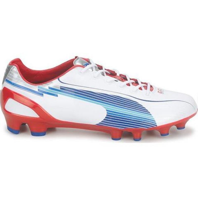 Buty piłkarskie Puma Evo Speed 1 Fg M 102527 01 białe białe