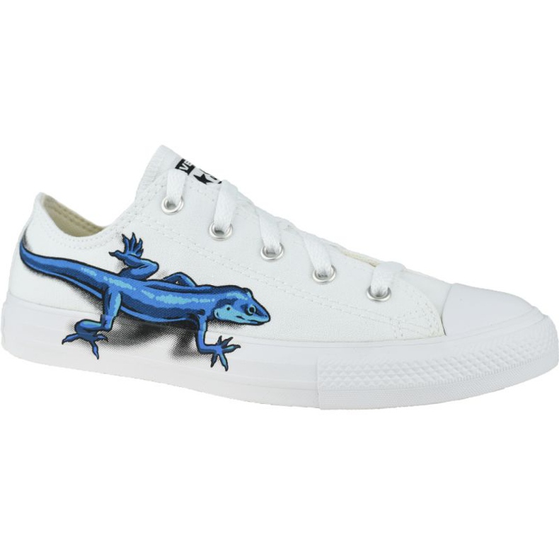 Legend Buty Converse Lizards Chuck Taylor All Star Low Kids 667532C białe