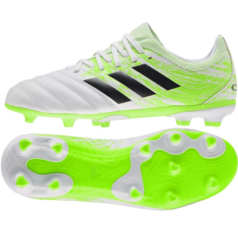 Buty piłkarskie adidas Copa 20.3 Fg Jr EF1913 wielokolorowe zielone