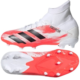 Buty piłkarskie adidas Predator 20.3 Fg Jr EG0927 białe wielokolorowe