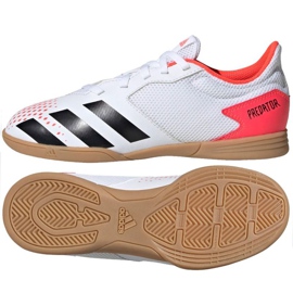 Buty halowe adidas Predator 20.4 In Sala Jr EG0930 wielokolorowe białe