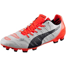 Buty piłkarskie Puma Evo Power 1.2 Ag 103213 05 szare