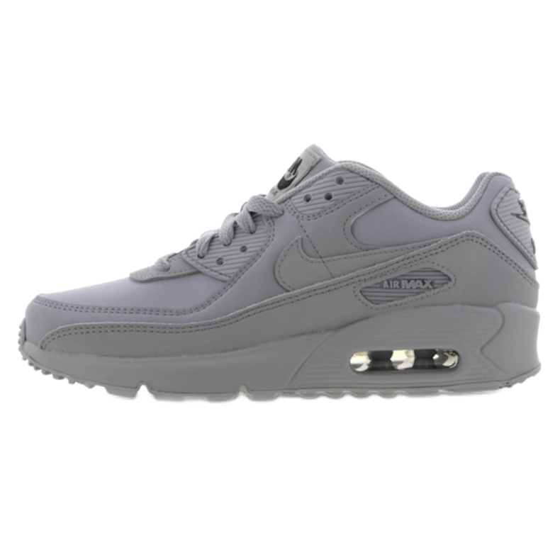 Buty Nike Air Max 90 Ltr Jr CD6864-006 szare