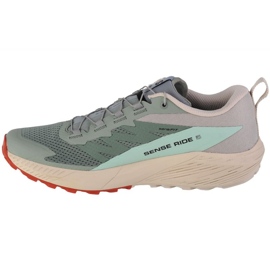 Buty Salomon Sense Ride 5 M 472117 zielone 1