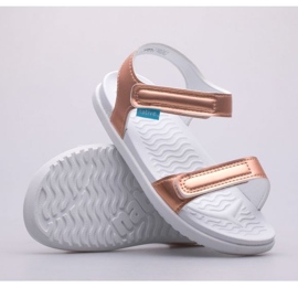 Sandały Native Charley Metallic Jr 62109117-8817 złoty 1