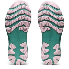 Buty Asics Gel Nimbus 24 W 1012B201003 wielokolorowe 2