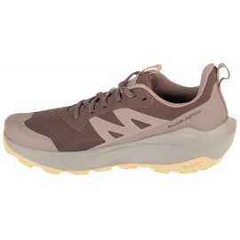 Buty do biegania Salomon Elixir Active Gtx L47760100 brązowe 1