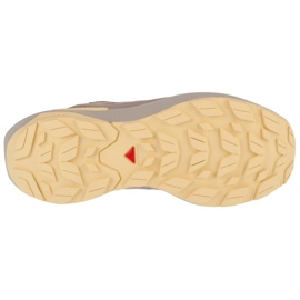 Buty do biegania Salomon Elixir Active Gtx L47760100 brązowe 3