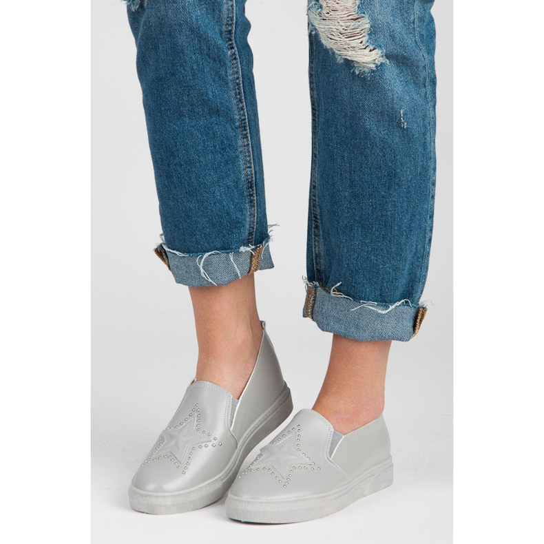 Szare Slipony Z Gwiazdą 1