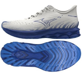 Buty Mizuno Wave Skyrise 6 M J1GC250954 1