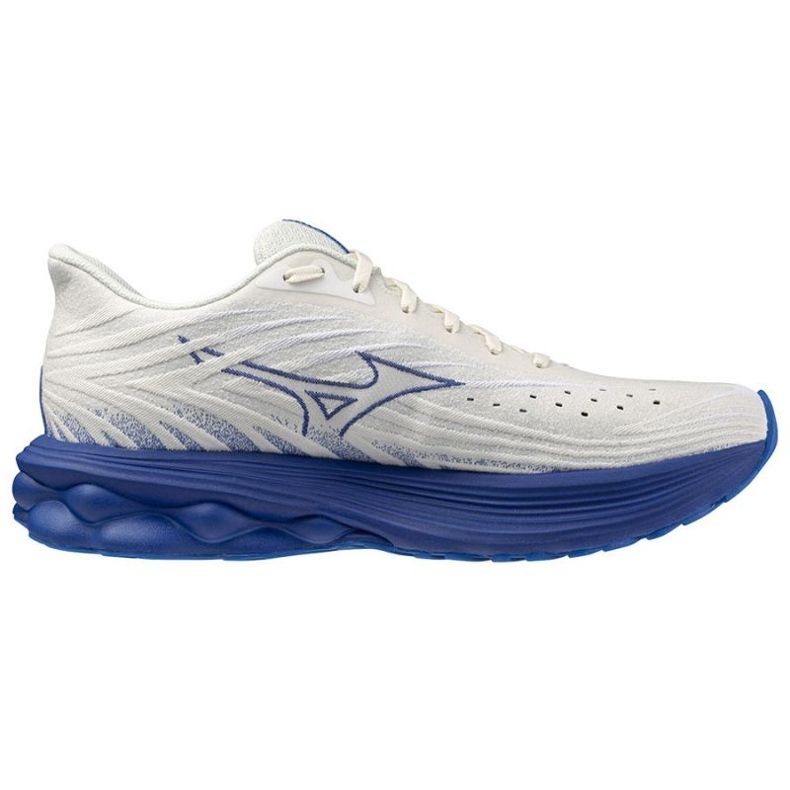 Buty Mizuno Wave Skyrise 6 M J1GC250954 2