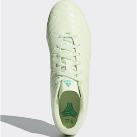 Buty piłkarskie adidas Nemeziz Tango 17.4 Tf M CP9062 zielone zielone 1