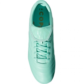 Buty piłkarskie adidas Copa 18.3 Fg M DB2462 niebieskie niebieskie 1