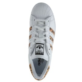 Buty adidas Originals Superstar W CQ2514 białe 2