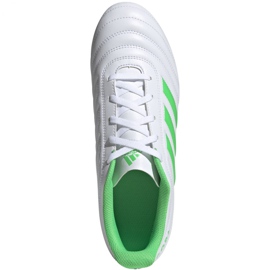 Buty piłkarskie adidas Copa 19.4 Fg M D98069 białe wielokolorowe 2