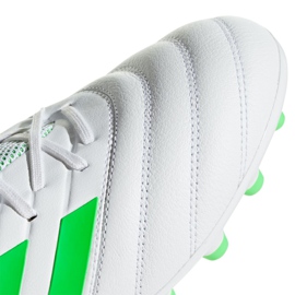 Buty piłkarskie adidas Copa 19.3 Ag M F35775 białe białe 6