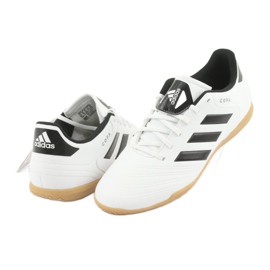 Buty halowe adidas Copa Tango 18.4 In M CP8963 białe 2