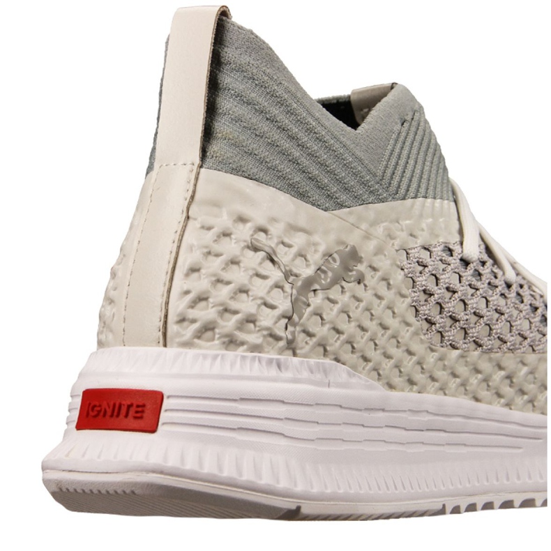 Buty Puma Future Netfit Avid Limited Edition M 105098 01 białe wielokolorowe 1