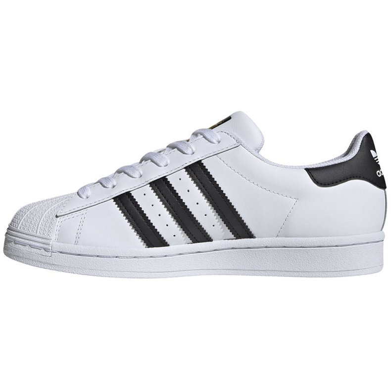 Buty adidas Superstar W FV3284 białe 2
