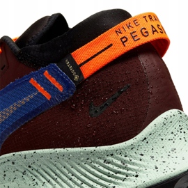 Buty biegowe Nike Pegasus Trail 2 Gtx M CU2016-600 wielokolorowe 2