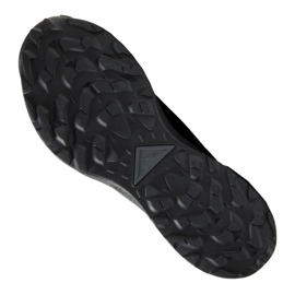 Buty biegowe Nike Pegasus Trail 2 Gtx M CU2016-001 czarne 2