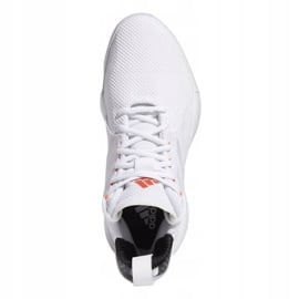 Buty do koszykówki adidas D Rose 773 2020 M FW8657 białe białe 1