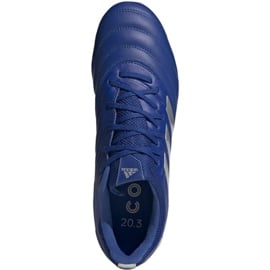 Buty piłkarskie adidas Copa 20.3 Fg M EH1500 niebieski, srebrny niebieskie 1