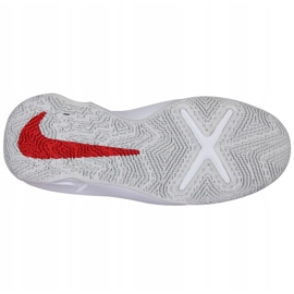 Buty do koszykówki Nike Team Hustle D 10 Big Basketball Shoe Jr CW6735 005 czerwony, biały, czerwony, granatowy czerwone 1