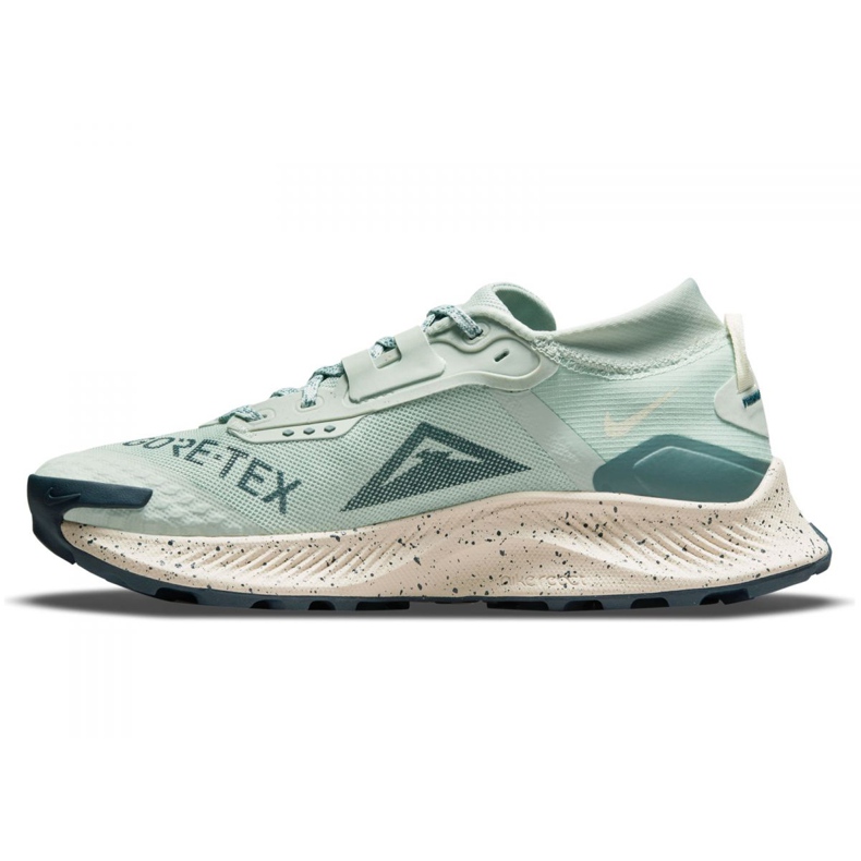Buty do biegania Nike Pegasus Trail 3 Gtx W DC8794-003 zielone 2