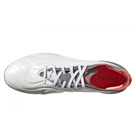 Buty piłkarskie adidas Copa Sense.1 Ag M FY6207 szary, biały białe 4