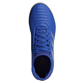 Buty halowe adidas Predator 19.3 In Jr CM8543 wielokolorowe niebieskie 1