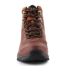 Buty Ariat Berwick Gtx W 10016298 brązowe 2