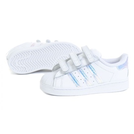 Buty adidas Superstar Cf I Jr FV3657 białe 1