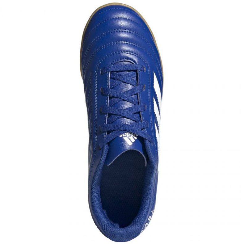 Buty piłkarskie adidas Copa 20.4 In Jr EH0926 wielokolorowe niebieskie 1