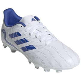 Buty piłkarskie adidas Copa Sense.4 FxG Jr GW7400 białe 2