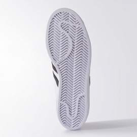 Buty adidas Originals Superstar Fundation Jr C77154 białe 2