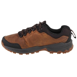 Buty Merrell Forestbound M J99643 brązowe 1